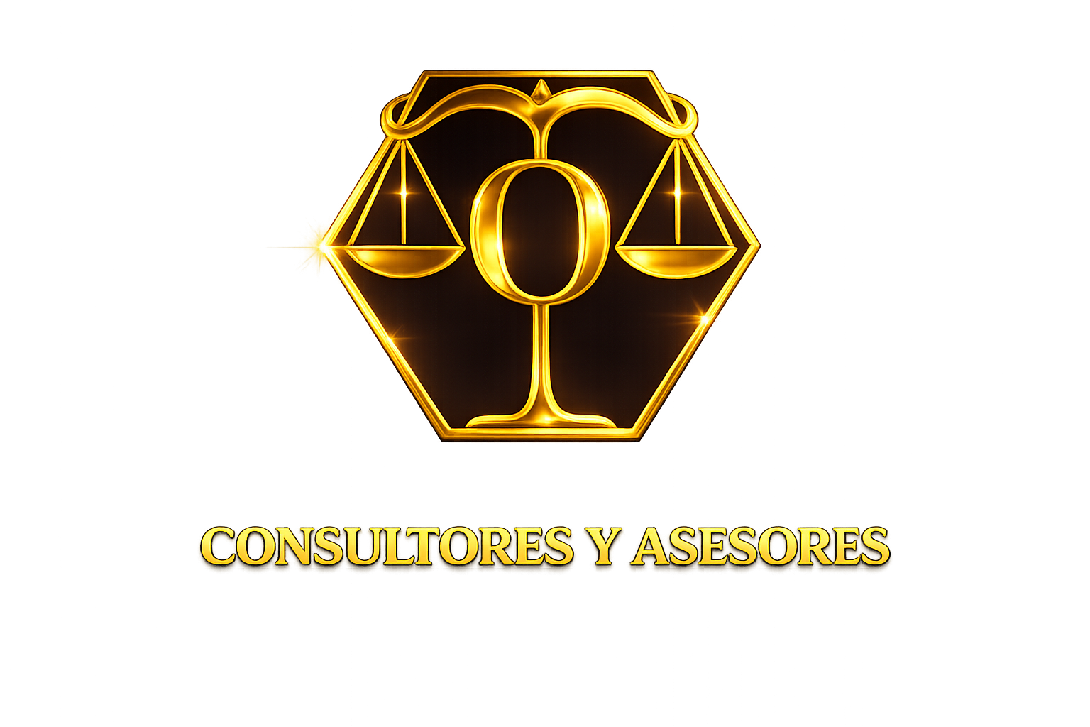 Consultores y Asesores